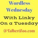 Wordless Wednesday Linky - Talbert Zoo