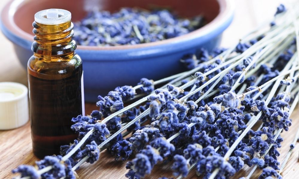 Benefits of Essential Oils for Kids with Disabilities