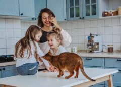 Tips for Creating a Feline-Friendly Home