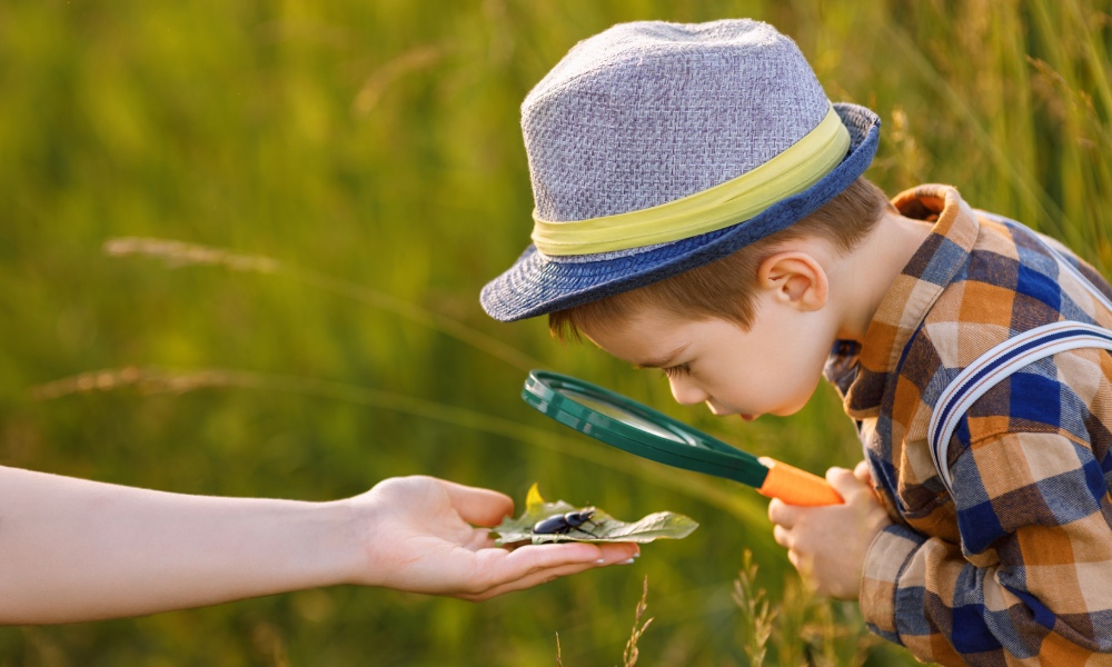 A young boy looks at a bug in an adult's hand through a magnifying glass. The boy observes the bug on a leaf.