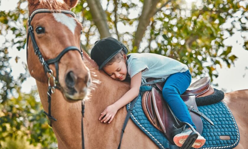 A young girl wearing a black riding helmet and sitting in a brown riding saddle on top of a horse. She hugs the horse.